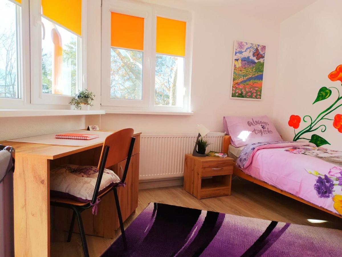 Дом За Гости Осогово Apartment Kyustendil Bagian luar foto