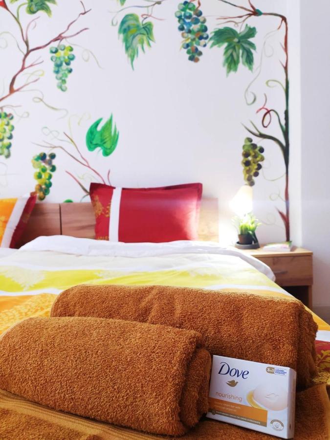 Дом За Гости Осогово Apartment Kyustendil Bagian luar foto